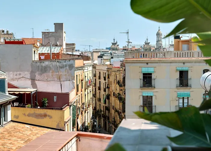 Musik Boutique - Solo Adultos