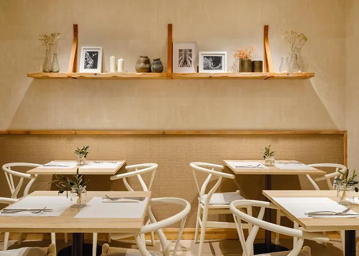 Musik Boutique - Solo Adultos Barcelona